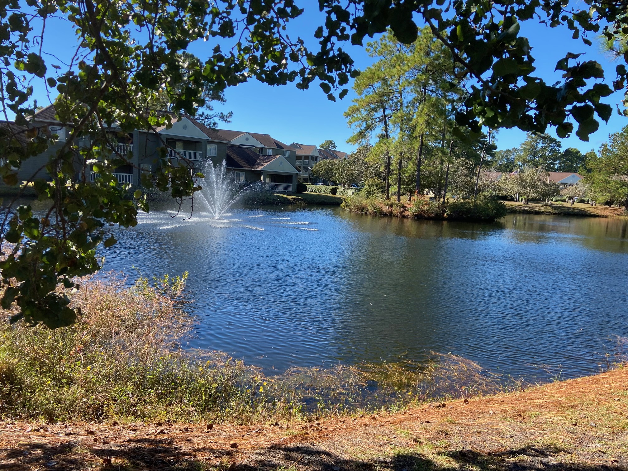 100 F Myrtle Greens Drive - F